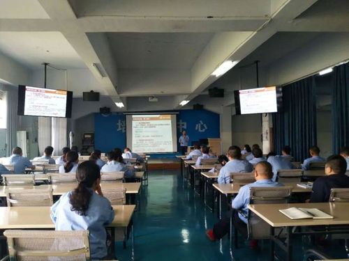 公司开展党建知识培训 为党建工作赋能 业务培训
